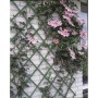 Nature PVC garden trellis 100x200 cm green 6040704 by Nature, Pergolas, arches and garden trellises - Ref: Foro24-409351, Pri...