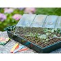 Nature Propagator Mini Kit 7x11 células de Nature, Kits para plantar flores y plantas - Ref: Foro24-409320, Precio: 20,64 €, ...