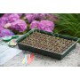 Nature Gewächshaus Mini Kit 7x11 Zellen von Nature, Kits zum Pflanzen von Blumen und Pflanzen - Ref: Foro24-409320, Preis: 20...