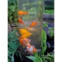 Ubbink Fish tower 66 cm acrylic by Ubbink, Accessories for ponds and fountains - Ref: Foro24-409286, Price: 148,99 €, Discoun...