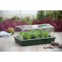 Nature Propagador 55x31x21 cm de Nature, Kits para plantar flores y plantas - Ref: Foro24-409317, Precio: 36,00 €, Descuento: %