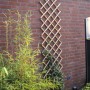 Nature Garden trellis 100x200 cm bamboo 6040722 by Nature, Pergolas, arches and garden trellises - Ref: Foro24-409345, Price:...