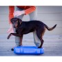 FitPAWS Balanceplattform für Haustiere K9FITbone PVC blau FPK9BONEBL von FitPAWS, Trainingsgeräte für Haustiere - Ref: Foro24...