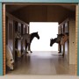 Kids Globe Farm Stables with 7 Drawers 1:24 610595 by Kids Globe, Children's parks - Ref: Foro24-410916, Price: 94,99 €, Disc...