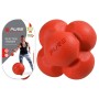 Pure2Improve Entrenador de reflejos rojo de , Bolas de reacción - Ref: Foro24-444916, Precio: 13,81 €, Descuento: %