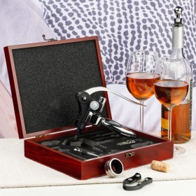 HI 10-Piece Wine Accessories Set with Briefcase by , Bar utensils - Ref: Foro24-445564, Price: 35,99 €, Discount: %