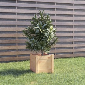 Solid pine wood planter 31x31x31 cm by , Pots and planters - Ref: Foro24-810522, Price: 30,99 €, Discount: %