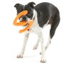 Zogoflex Juguete mordedor para perros Bumi tamaño L naranja 1947 de Zogoflex, Juguetes para perros - Ref: Foro24-414619, Prec...