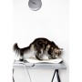 MyKotty Rascador para gatos TOBI 59x25x6,9 cm blanco 3087 de MyKotty, Mobiliario para gatos - Ref: Foro24-414576, Precio: 53,...