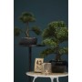 Emerald Bonsai green artificial cedar 32 cm 420001 by Emerald, artificial flora - Ref: Foro24-414502, Price: 55,99 €, Discoun...