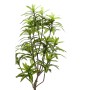 Emerald Árbol dracaena artificial verde 130 cm 419843 de Emerald, Flora artificial - Ref: Foro24-414501, Precio: 82,68 €, Des...