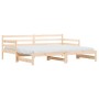 Trundle sofa bed solid pine wood 80x200 cm by , Beds and slatted bases - Ref: Foro24-836150, Price: 181,26 €, Discount: %