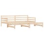 Trundle sofa bed solid pine wood 80x200 cm by , Beds and slatted bases - Ref: Foro24-836150, Price: 181,26 €, Discount: %