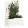 Planter shelf made of solid white pine wood 79x39.5x114 cm by vidaXL, Pots and planters - Ref: Foro24-832522, Price: 98,99 €,...