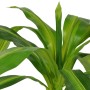 Artificial Dracaena plant with green pot 100 cm by vidaXL, artificial flora - Ref: Foro24-244451, Price: 49,61 €, Discount: %