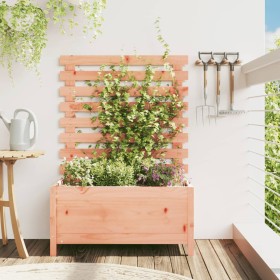 Douglas solid wood planter with shelf 79x39.5x114 cm by vidaXL, Pots and planters - Ref: Foro24-832524, Price: 78,99 €, Disco...