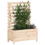 Planter with solid pine wood shelf 79x39.5x114 cm by vidaXL, Pots and planters - Ref: Foro24-832521, Price: 71,18 €, Discount: %