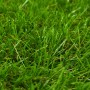 Artificial grass 1.33x10 m/40 mm green by vidaXL, artificial flora - Ref: Foro24-148835, Price: 251,78 €, Discount: %