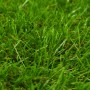 Green artificial grass 1x15 m/40 mm by vidaXL, artificial flora - Ref: Foro24-148832, Price: 234,30 €, Discount: %