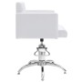 Synthetic leather sinks and hairdressing chairs by , Hairdressing chairs - Ref: Foro24-3100535, Price: 789,57 €, Discount: %