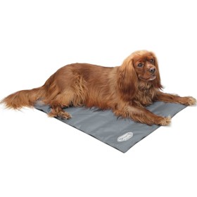 Scruffs & Tramps Cooling Mat for Dogs Gray M 2717 by Scruffs & Tramps, Beds for dogs - Ref: Foro24-420543, Price: 31,57 €, Di...