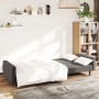 Dark gray velvet 2-seater sofa bed by vidaXL, Sofas - Ref: Foro24-337311, Price: 221,99 €, Discount: %