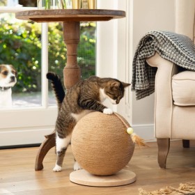 Designed by Lotte Balty wooden cat scratching post globe XL by , Cat furniture - Ref: Foro24-438284, Price: 72,99 €, Discount: %