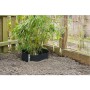 Nature Lona protectora de raíces HDPE negro 0,7x3 m de Nature, Accesorios de jardinería - Ref: Foro24-403652, Precio: 43,37 €...