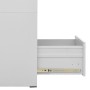 Light gray steel filing cabinet 46x62x102.5 cm by vidaXL, Filing cabinets - Ref: Foro24-20123, Price: 196,55 €, Discount: %