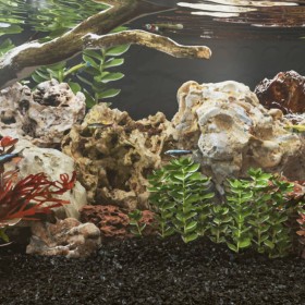 Dragon stones mix colors 25 kg 10-30 cm by , Aquarium decoration - Ref: Foro24-155308, Price: 70,79 €, Discount: %