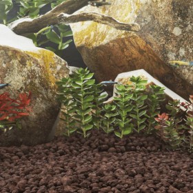 Red volcanic rocks 10 kg 5-8 cm by , Aquarium decoration - Ref: Foro24-155315, Price: 34,99 €, Discount: %