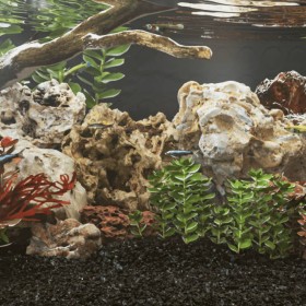 Braune Drachensteine 10 kg 5-30 cm von , Aquariumdekoration - Ref: Foro24-155303, Preis: 34,99 €, Rabatt: %