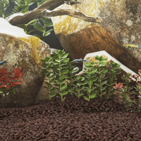 Red volcanic rocks 25 kg 1-2 cm by , Aquarium decoration - Ref: Foro24-155312, Price: 65,01 €, Discount: %