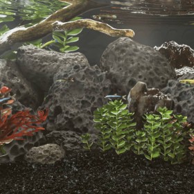 Black volcanic rocks 10 kg 10-30 cm by , Aquarium decoration - Ref: Foro24-155325, Price: 37,53 €, Discount: %