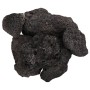 Black volcanic rocks 10 kg 10-30 cm by , Aquarium decoration - Ref: Foro24-155325, Price: 41,21 €, Discount: %