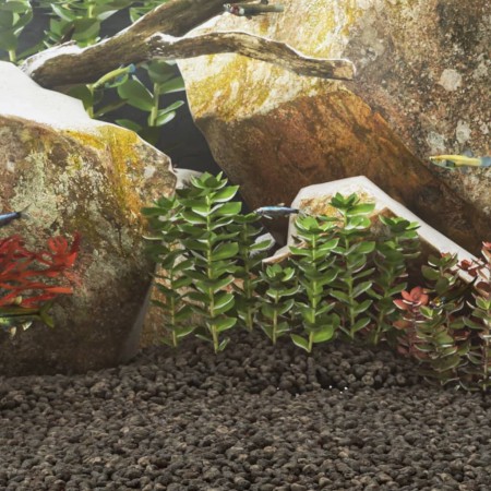 Black volcanic rocks 10 kg 1-2 cm by , Aquarium decoration - Ref: Foro24-155318, Price: 59,99 €, Discount: %