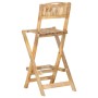 Folding garden stools 2 units solid mango wood by , Garden chairs - Ref: Foro24-285908, Price: 249,99 €, Discount: %