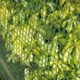 Nature Green Garden Screening Square Mesh 5x5 mm 1x3 m by Nature, fence panels - Ref: Foro24-419764, Price: 42,20 €, Discount: %