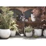 Capi Planter Nature Row ivory color 43x41 cm KRWI933 by Capi, Pots and planters - Ref: Foro24-424289, Price: 91,54 €, Discoun...