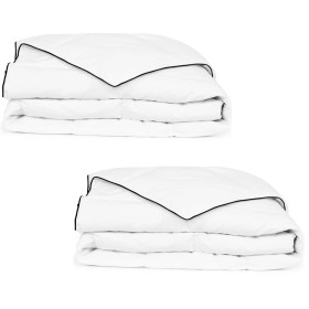 Winter down comforter 2 units 155x220 cm by vidaXL, Bedspreads and duvets - Ref: Foro24-132889, Price: 68,99 €, Discount: %