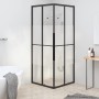 Cabina de ducha ESG semiesmerilado negro 80x80x180 cm de , Puertas de ducha - Ref: Foro24-151853, Precio: 256,85 €, Descuento: %