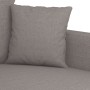 Sofá de 2 plazas de tela gris taupé 120 cm de , Sofás - Ref: Foro24-359266, Precio: 228,85 €, Descuento: %