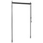 Estor enrollable de exterior gris antracita 120x270 cm de , Persianas y estores - Ref: Foro24-145936, Precio: 61,54 €, Descue...