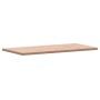 Rechteckige Platte aus massivem Buchenholz 100x50x2,5 cm von , Tischplatten - Ref: Foro24-3188883, Preis: 59,64 €, Rabatt: %