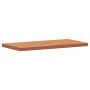 Encimera de baño madera maciza de haya 100x50x4 cm de , Encimeras - Ref: Foro24-356006, Precio: 122,54 €, Descuento: %