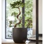 Capi Urban Smooth black planter 35x34 cm KBL932 by Capi, Pots and planters - Ref: Foro24-424347, Price: 70,11 €, Discount: %