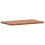 Tablero rectangular de madera maciza de haya 100x60x4 cm de , Tableros para mesas - Ref: Foro24-3188900, Precio: 116,29 €, De...