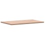 Tablero rectangular de madera maciza de haya 100x60x2,5 cm de , Tableros para mesas - Ref: Foro24-3188885, Precio: 84,70 €, D...