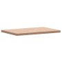 Encimera de baño madera maciza de haya 60x40x2,5 cm de , Encimeras - Ref: Foro24-355990, Precio: 53,63 €, Descuento: %