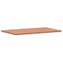 Tablero rectangular de madera maciza de haya 100x60x2,5 cm de , Tableros para mesas - Ref: Foro24-3188896, Precio: 91,49 €, D...